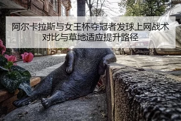 a-er-ka-la-si-yu-nv-wang-bei-duo-guan-zhe-fa-qiu-shang-wang-zhan-shu-dui-bi-yu-cao-di-shi-ying-ti-sheng-lu-jing-2-655.jpg